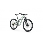 Bicicleta Focus - Bike Guru