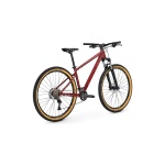 Bicicleta Focus - Bike Guru