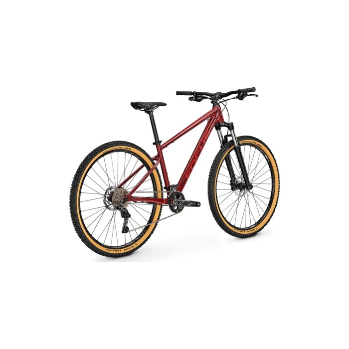 Bicicleta Focus - Bike Guru