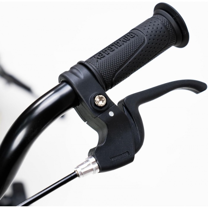 Bicicleta Royal Baby EZ Freestyle - Bike Guru