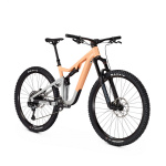 Bicicleta Focus - Bike Guru