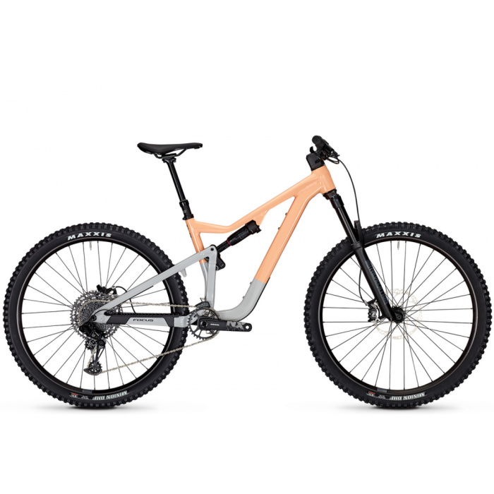 Bicicleta Focus - Bike Guru