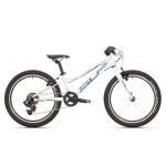 Bicicleta Superior - Bike Guru