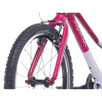 Bicicleta Superior - Bike Guru